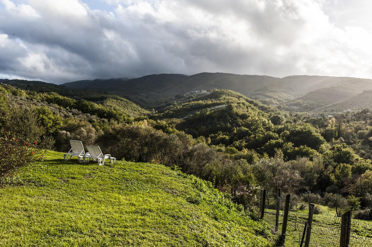 Tenuta San Felice Giano dellʼUmbria Extérieur photo