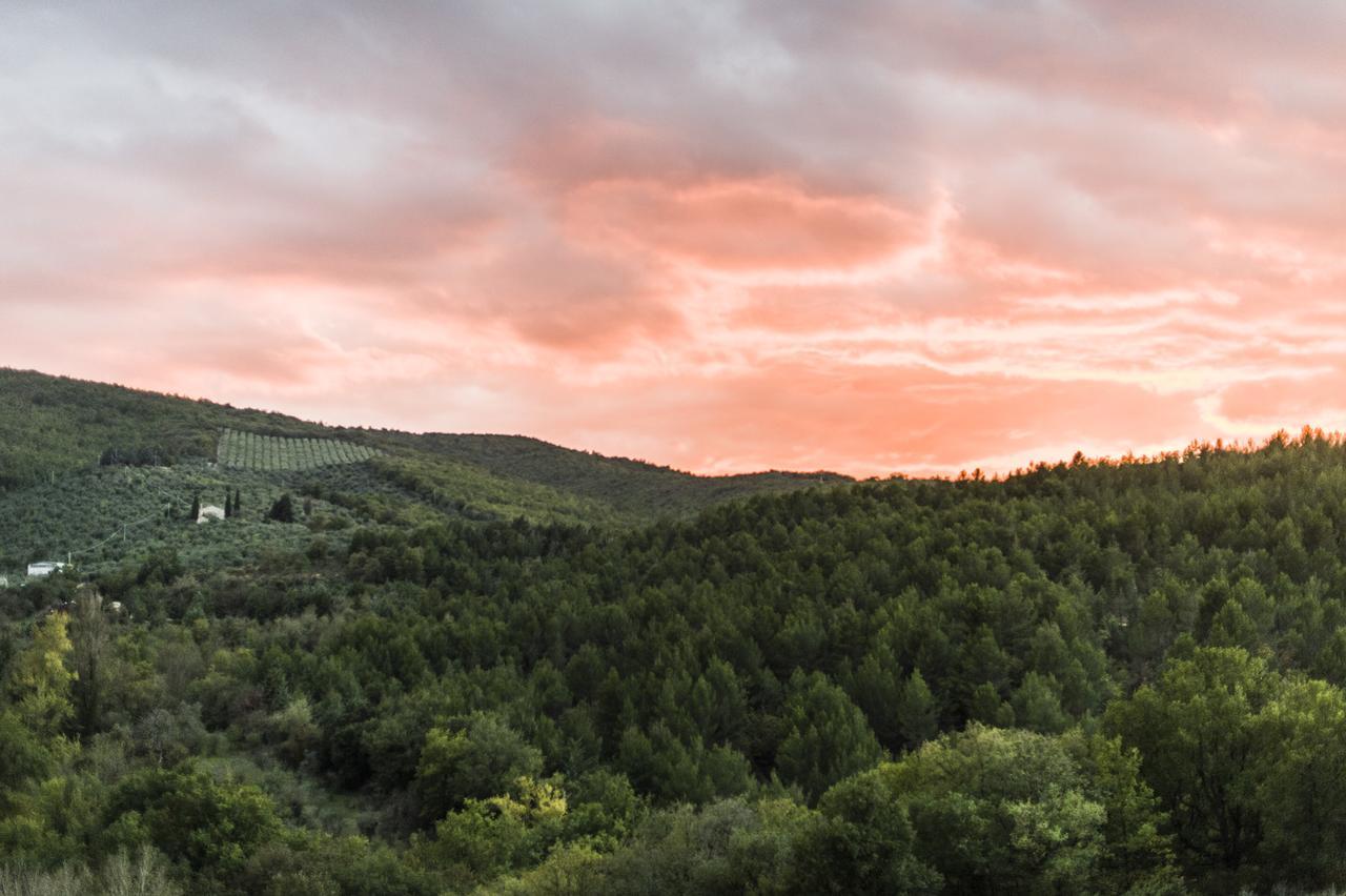 Tenuta San Felice Giano dellʼUmbria Extérieur photo