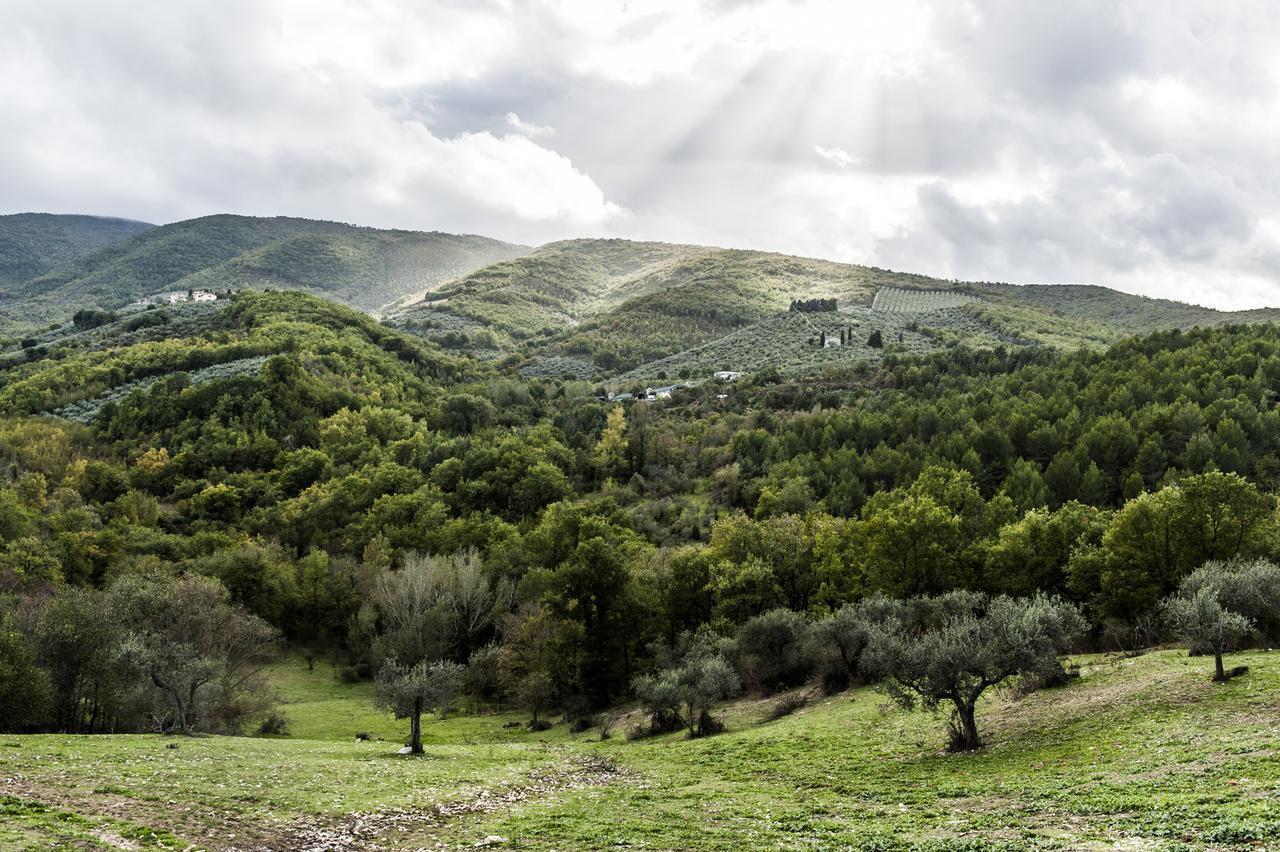 Tenuta San Felice Giano dellʼUmbria Extérieur photo